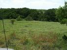 Farm